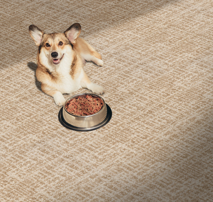 Margaret Polyester Sand 11231 Carpet Pattern 2