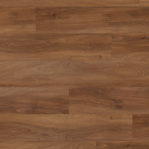 Korlok Reserve Marron Elm 