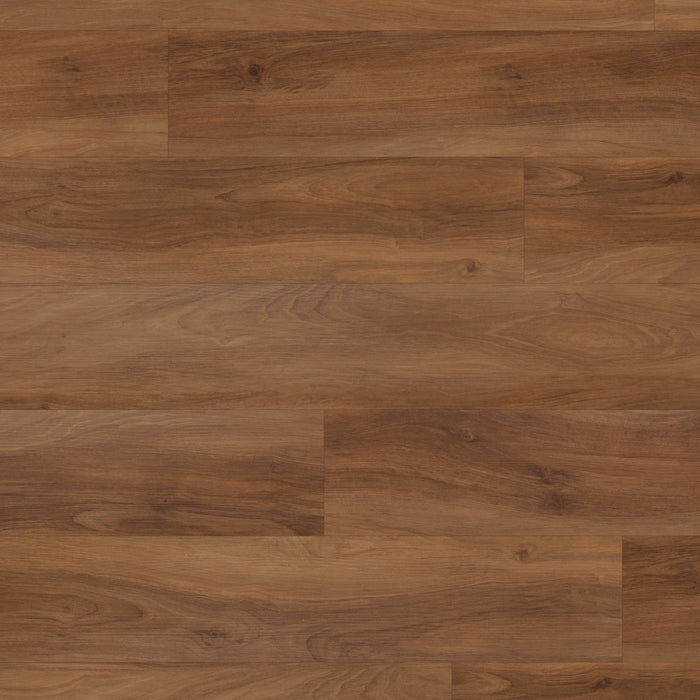Korlok Reserve Marron Elm 