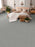 Meteoric Polyester Velocity 2618 Carpet Loop 2