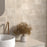 Duetto Porcelain Coast Tile Matte 3