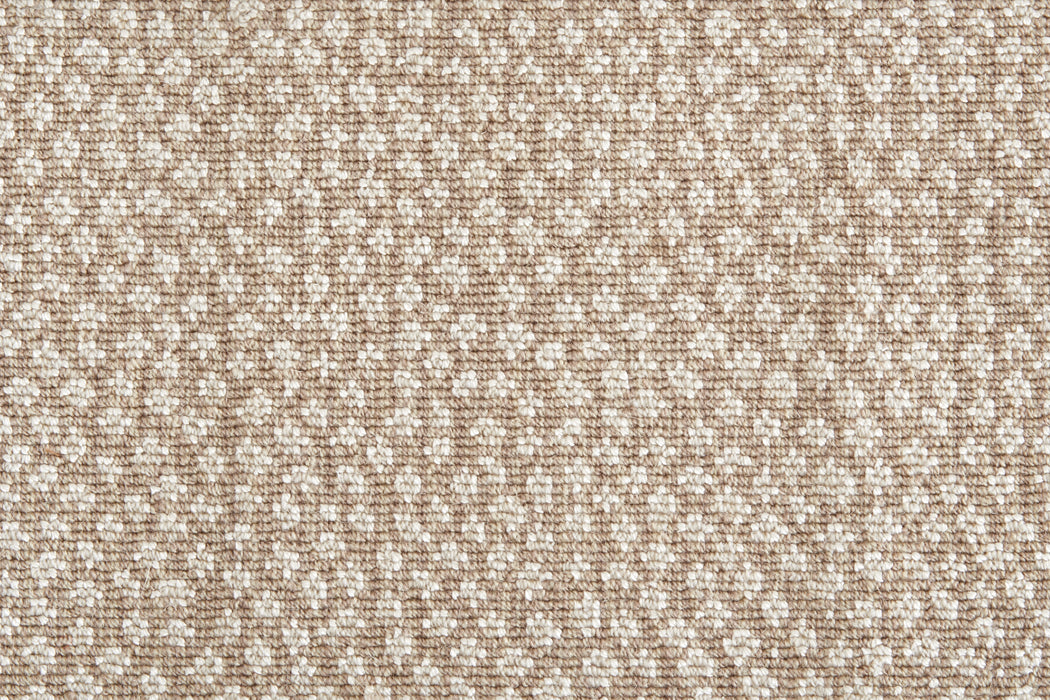 Mirage Cheetah Wool Blend Barley 77200 Carpet Pattern 1