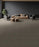 Monarch Polyester Dark Clove 801 Carpet Loop 2