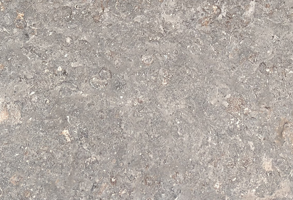 Monteciel Limestone Tile - Antique