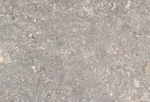 Monteciel Limestone Tile - Antique