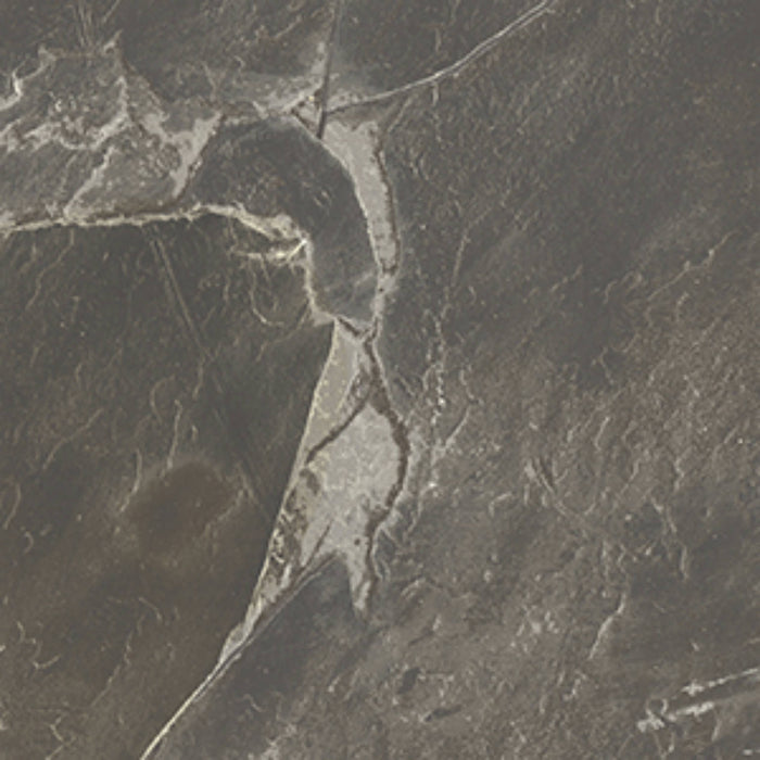 Full Tile Sample - More Sage Porcelain Tile - 12" x 12" x 9 MM Matte