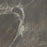 Full Tile Sample - More Sage Porcelain Tile - 6" x 6" x 9 MM Matte