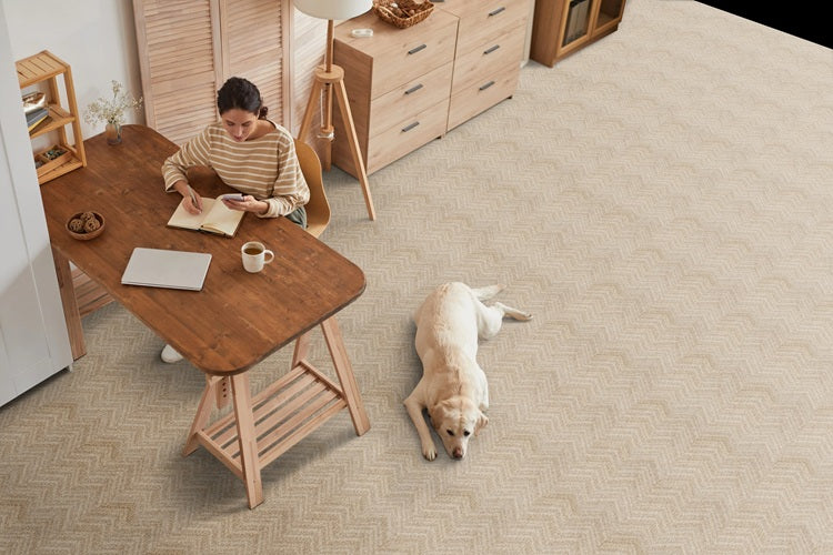 Morgan Solution Dyed Polyes Oyster 11282 Carpet MORGA Loop 3
