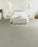 Morning Glory III Polyester French Silk 2194 Carpet Textured 2