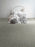 Morning Glory I Polyester Napa 2470 Carpet Textured 2