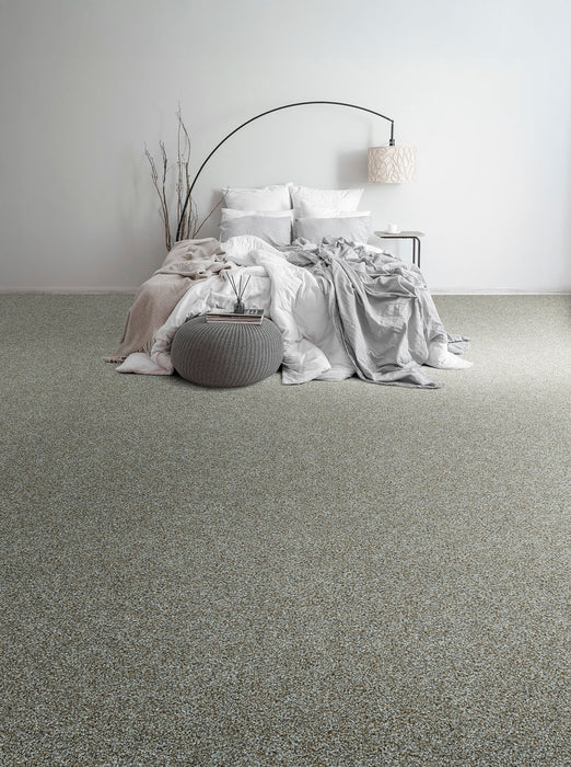 Morning Glory I Polyester Napa 2470 Carpet Textured 2