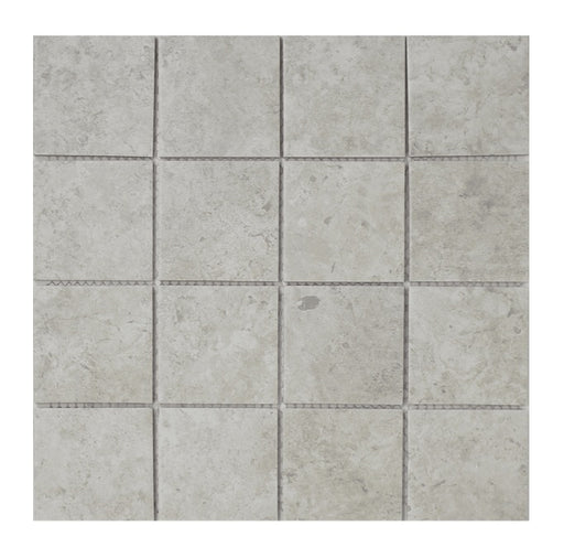 Gallery Porcelain Mosaics Porcelain Tuscan Grigio TASGALA Mosaic Matte 1