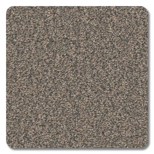 Mountain View Polyester Brunswick Carpet Textured 2