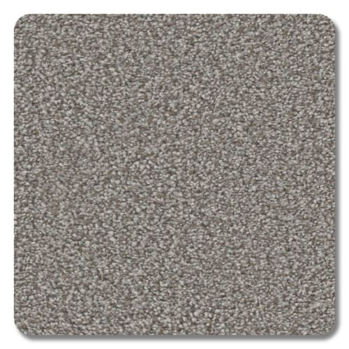 Mountain View Polyester Emerald Carpet Textured 2