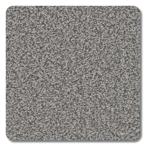 Valley View Polyester Gravity Carpet Textured 2