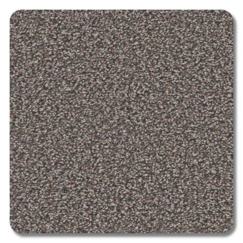 Mountain View Polyester Sierra Carpet Textured 2