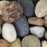 Clearance Sale! Mowgli Mixed Marble Pebble - 2-5 CM
