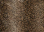 Mufasa Polypropylene Bronze 13778 Carpet Pattern 1