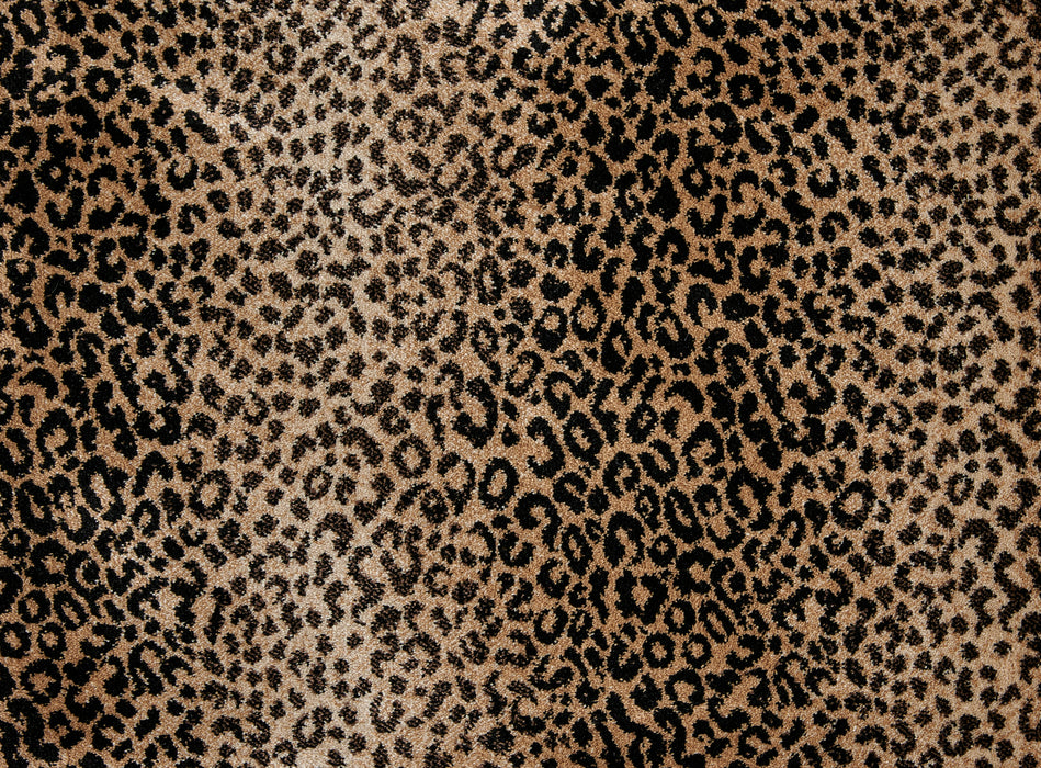 Mufasa Polypropylene Bronze 13778 Carpet Pattern 1