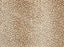 Mufasa Polypropylene Camel 13777 Carpet Pattern 1