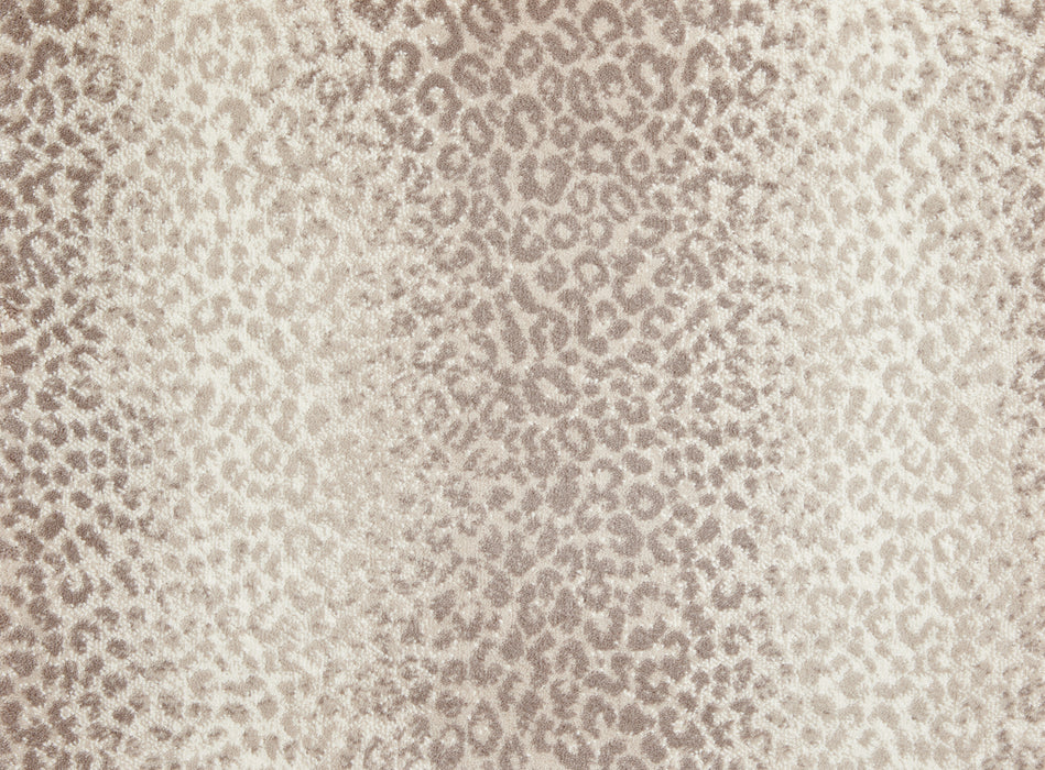 Mufasa Polypropylene Praline 13773 Carpet Pattern 1