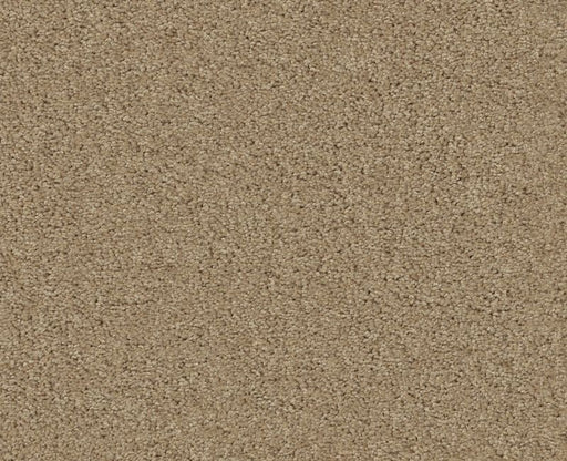 Detailed Style III Taffeta 00107