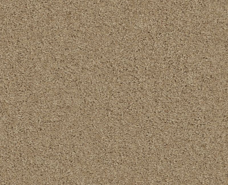 Detailed Style III Taffeta 00107