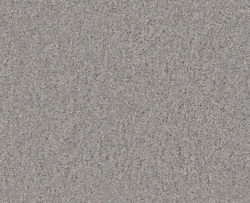 Detailed Style II Sheer Silver 00500