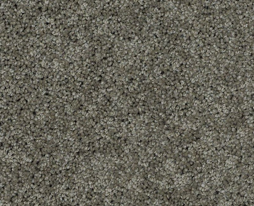 Detailed Style I Grey Flannel 00501