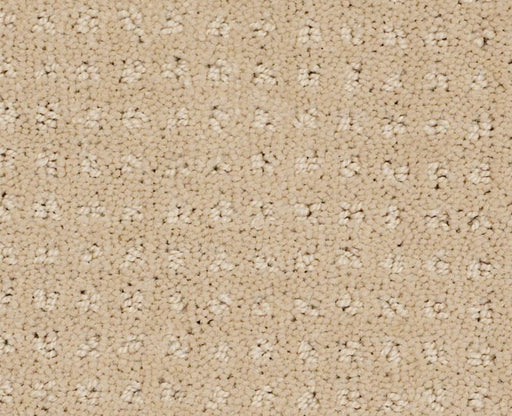 Detailed Style Pattern Mesa 00105