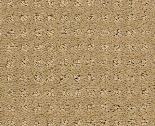 Detailed Style Pattern Honey Pot 00722