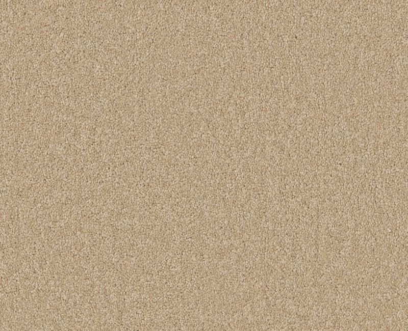 Endura III 12' Cashew 00106