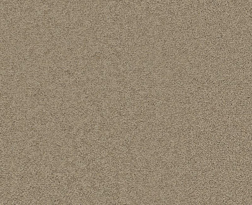 Endura I 12' Sweet Cream 00109