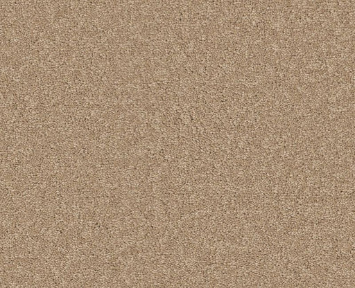 Endura II 12' Stucco 00110