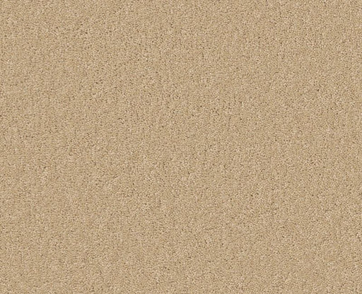 Endura II 15' Marzipan 00201