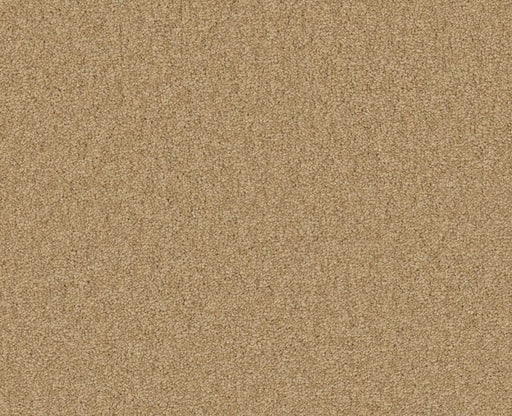 Endura II 15' Cornfield 00202