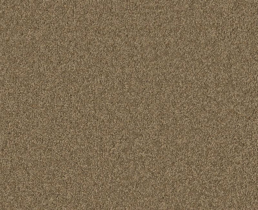 Endura I 12' Mojave 00301