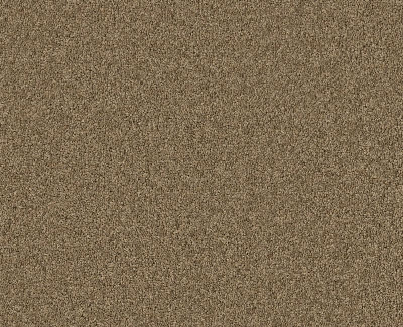 Endura I 12' Mojave 00301