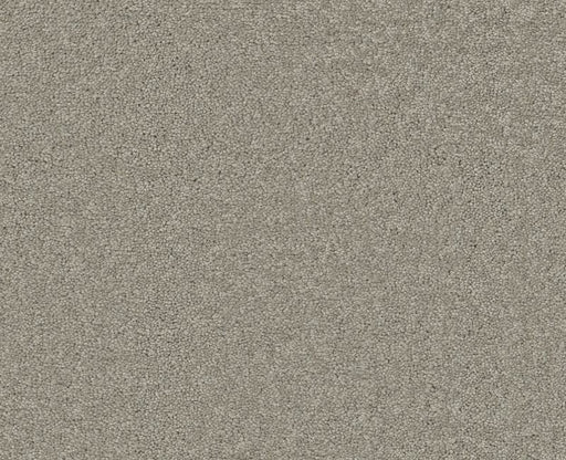 Endura II 15' Silver Charm 00500