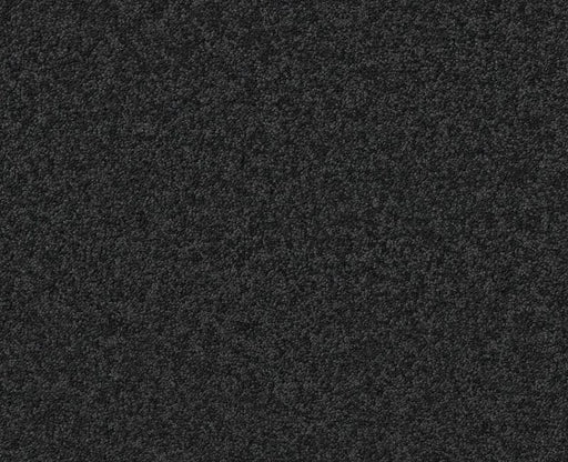 Endura I 12' Graphite 00503