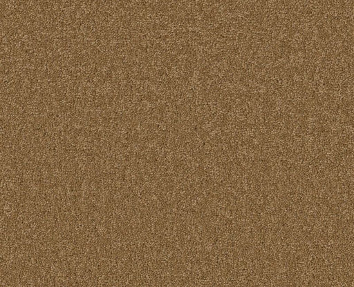 Endura II 15' Peanut Brittle 00702