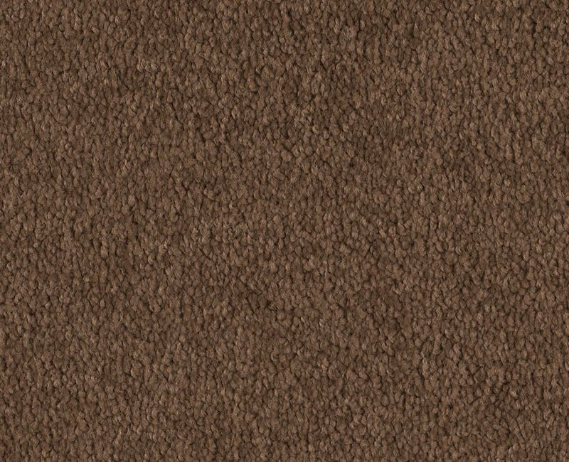 Shaw Endura I 15' 00703 Pine Cone Carpet — Stone & Tile Shoppe, Inc.