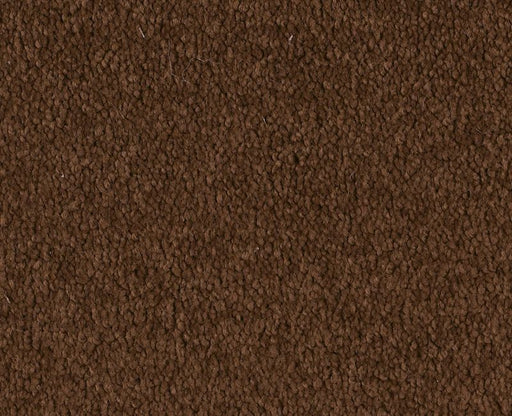 Endura II 12' Tortoise Shell 00707