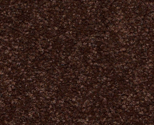 Endura II 12' Coffee Bean 00711