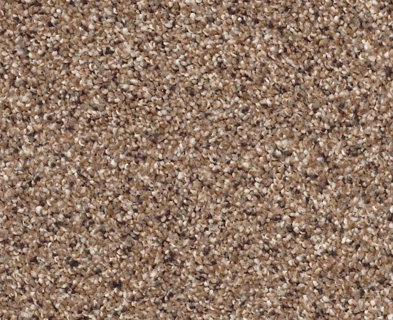 Elegant Texture Accent Pegasus 00780