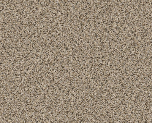 Vigorous Mix III Sand Castle 00174