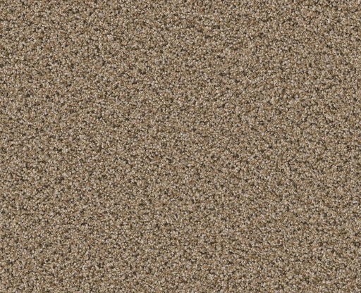 Vigorous Mix I Bridle Leather 00270