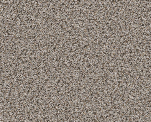 Vigorous Mix II Pencil Sketch 00570