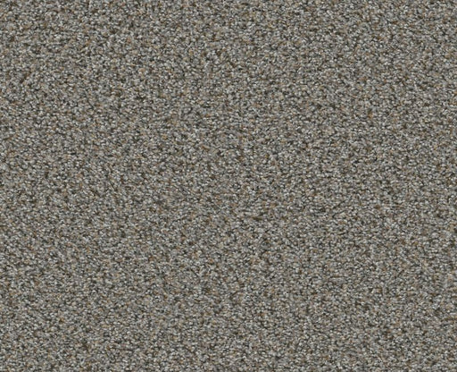 Vigorous Mix III Antique Pin 00571