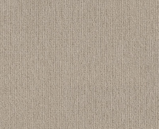 Well Informed Studio Taupe 00173